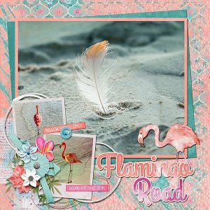 Pink Flamingo