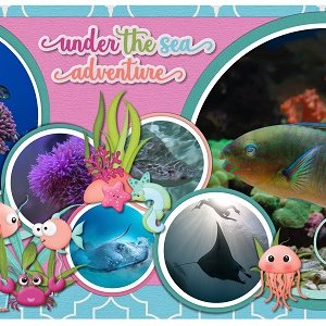 Under The Sea Adventure