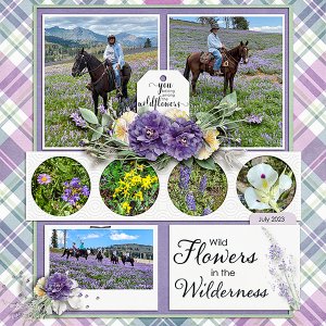 Wildflowers