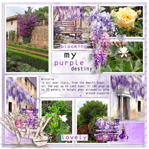 Purple Italy