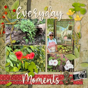 Everyday Moments