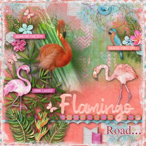Flamingo