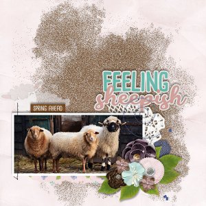 Feeling Sheepish