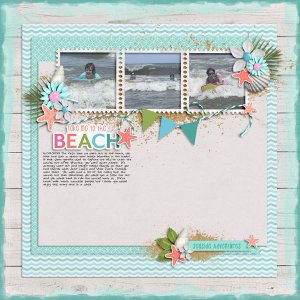 Take Me to the Beach