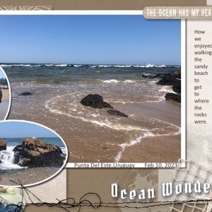 Ocean Wonders