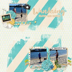 Wandering Along the Beach