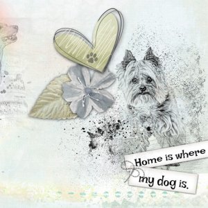 Home