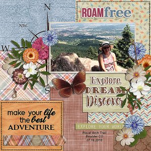 explore dream discover