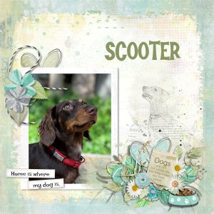 Scooter