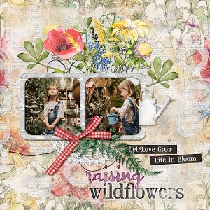 Raising Wildflowers
