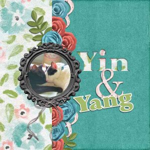 Yin + Yang August Mini