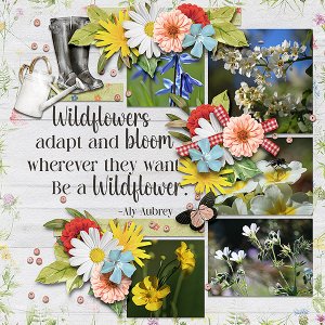 wildflowers