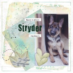 Stryder