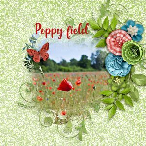 Poppy-field