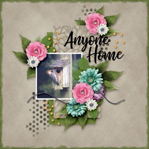 Anyone Home