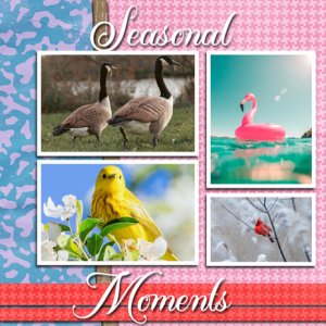 Seasonal Moments
