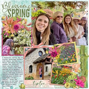 Tulips page 1