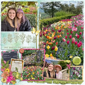 Tulips page 2