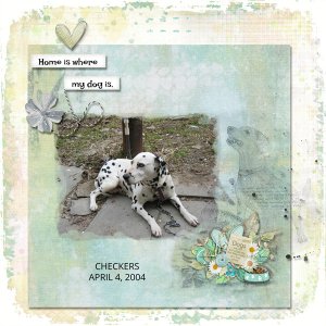CHECKERS -UIA -AUG 23