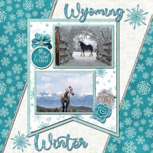 Wyoming Winter