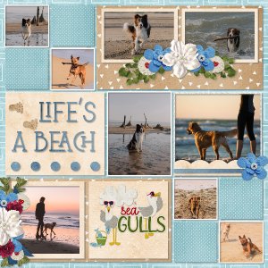 Life_s_a_beach2