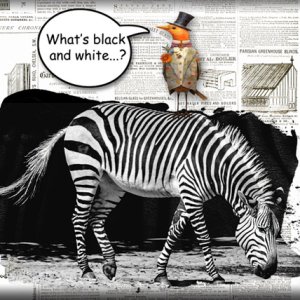 ATC 2023-018 What's Black + White