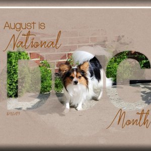 ATC 2023-019 August is National Dog Month
