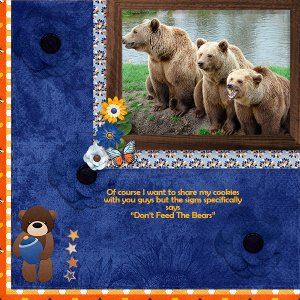 Please Don't Feed the Bears.