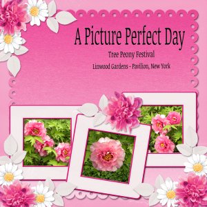 A Picture Perfect Day
