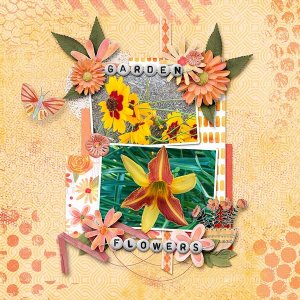 Garden-Flowers