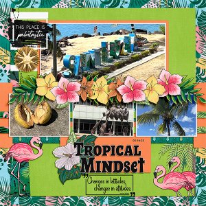 Tropical Mindset- St. Lucia
