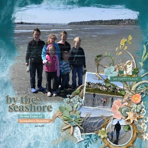 Seashore