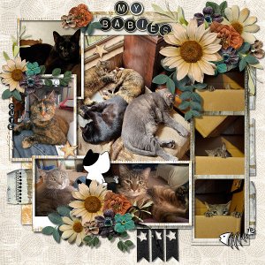 I Am Fierce by CarolW