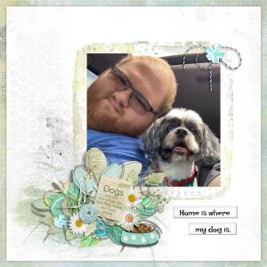 Love My Dog