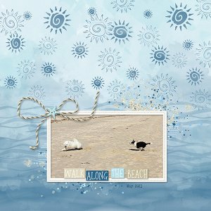 Dogs on the Beach
