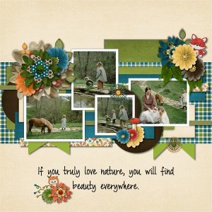 Find Beauty Everywhere