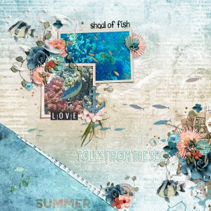 shoal of fish