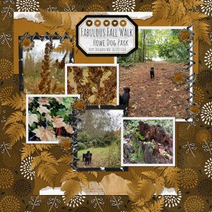 Paint Chip Golden Brown From Designs by Connie Prince