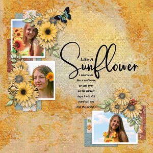 Like A Sunflower