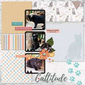 2019-04-06_Cattitude