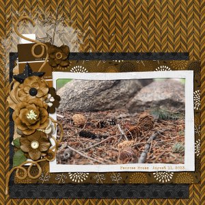 Pinecones