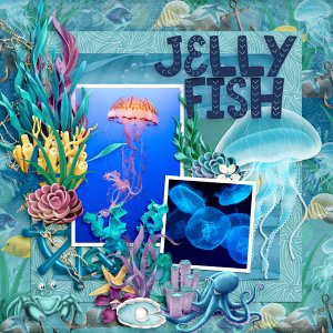 Jelly Fish - Tinci Aug 2023 Template Challenge