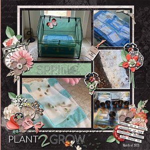 Plant 2 Grow in March of 2023