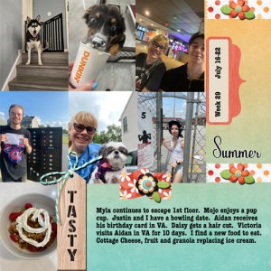 2023 Week 29