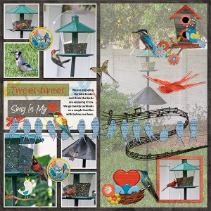 Summer birds