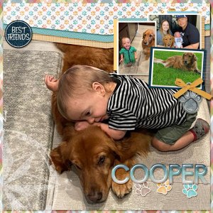 Cooper