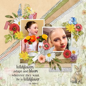 Wild Flower