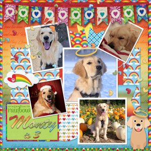 Happy Birthday at the Rainbow Bridge, Monty