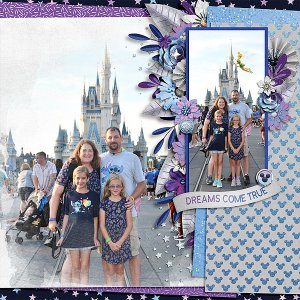 WDW 2019 - MK Castle