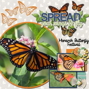 Monarch Butterfly Festival
